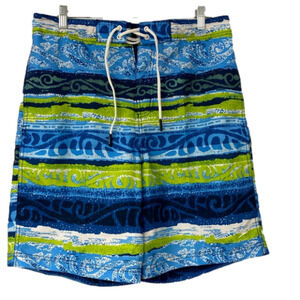 Speedo Beach Trunks Men's Large‎ Blue Green Lined